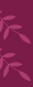 Ticket Background